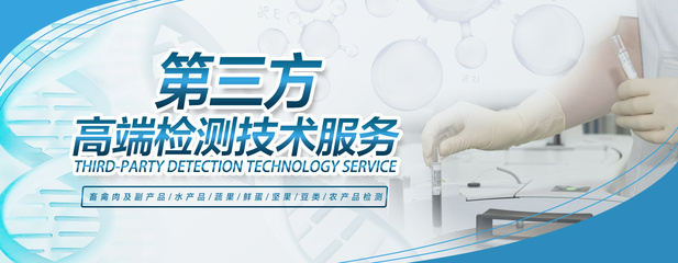 technical services技术服务